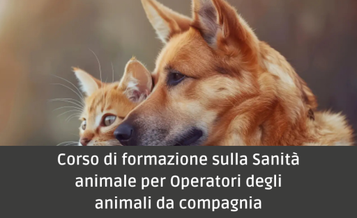 Corso di formazione sulla sanità animale per operatori degli animali da compagnia